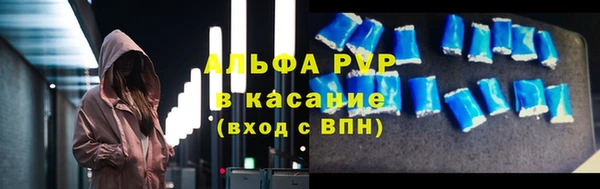 индика Сафоново