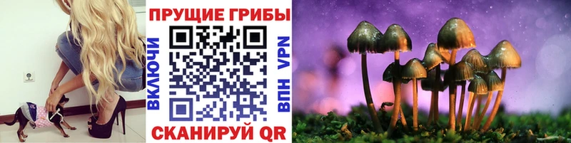 Галлюциногенные грибы мицелий  наркотики  Кингисепп 